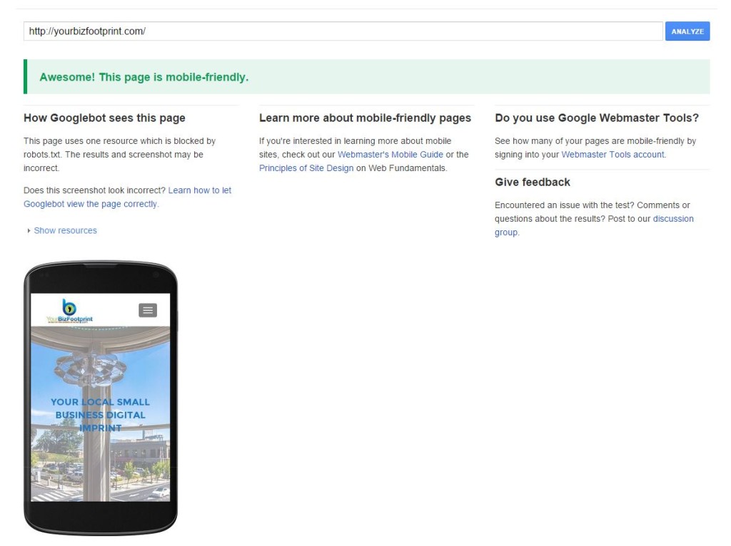 Google-Bot-Passes-YourBizFootprint-Websi