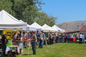 Marin-French-Cheese-Company-150-Year-Ann