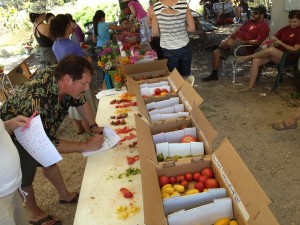 Tomato-tasting-at-the-Petaluma-Bounty-Fa
